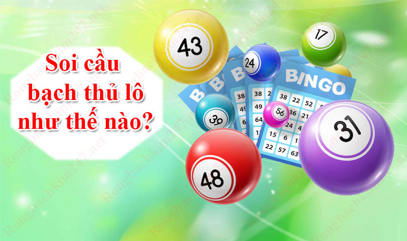 Tìm hiểu Soi Cầu Bạch Thủ Lô Miền Bắc